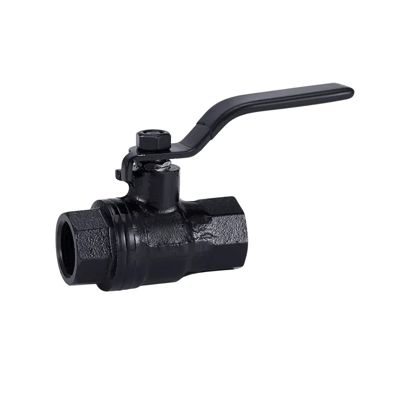 High quality iron oil field valves YX06-005