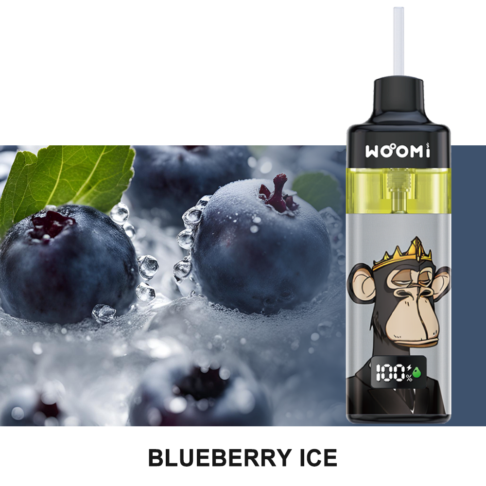 Woomi ECOM 24000 Replacement Refillable Pod Kit -- Blueberry Ice