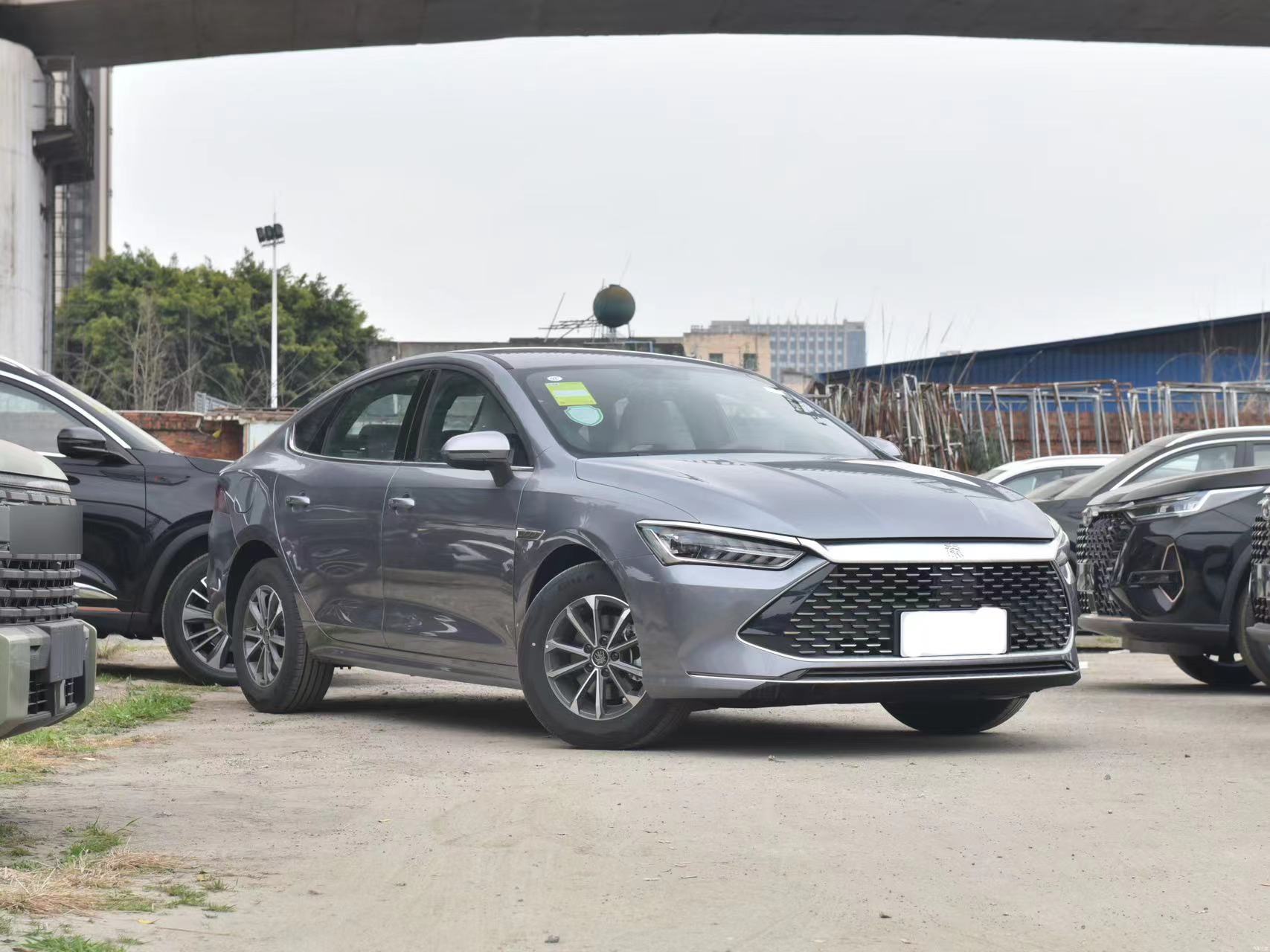 BYD Qin PLUS 2024 Honor Edition DM-i 55KM Leading Type