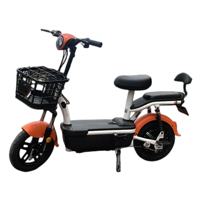 electric bicycle with lead-acid battery Golden Fruit
