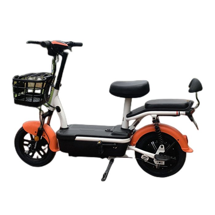 electric bicycle with lead-acid battery Golden Fruit