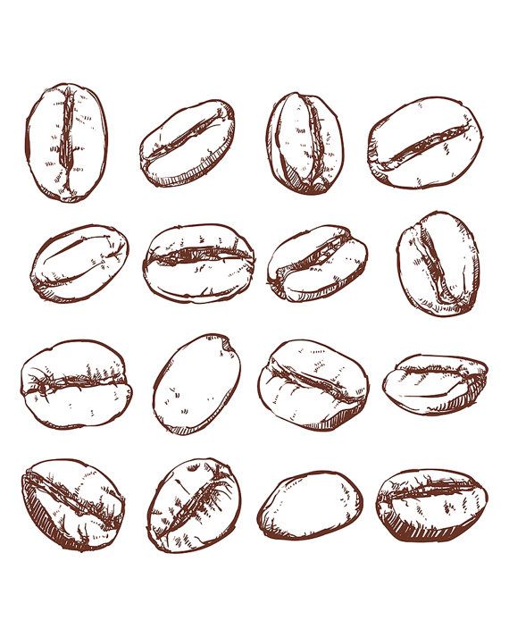 80% off Sale Coffee Bean Isolated Hand Drawn Vector_ Hand - Etsywdj