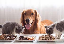 Envasado de alimentos para mascotas