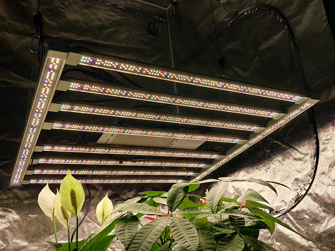 How do you determine which wavelength of light is required for your plant's growth?