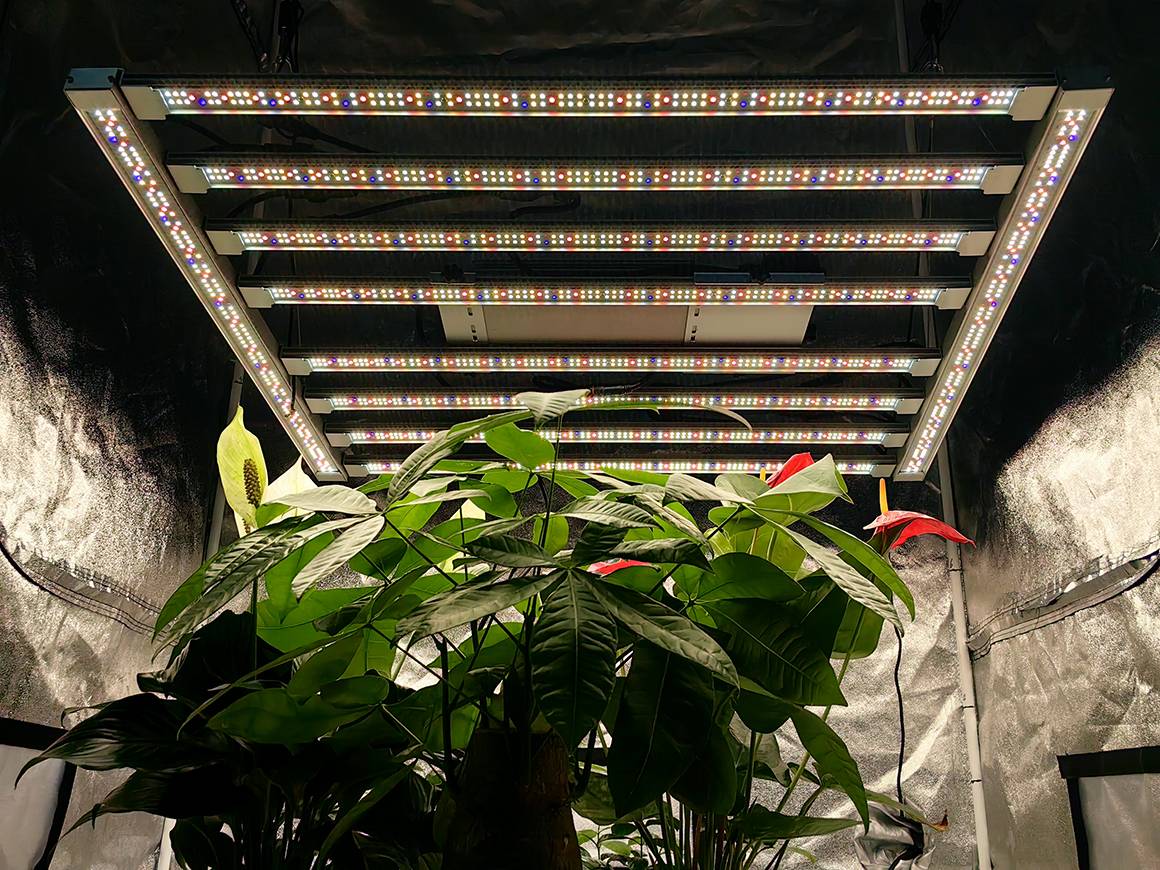 Cultivate Intelligence-Illuminating the Future with LED Grow Lights2(1).jpg