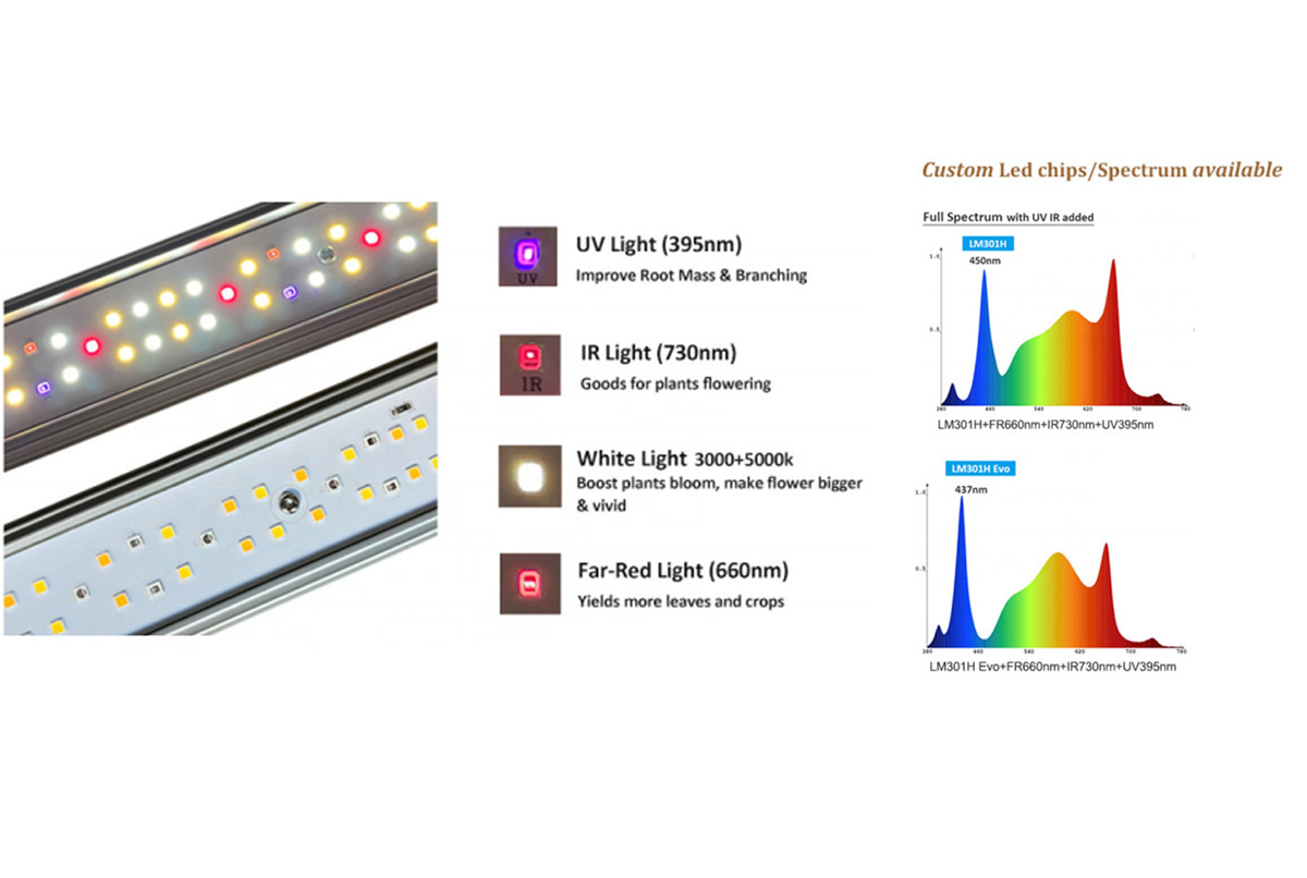 120W/240W PCBA Grow Lights - Separate UV and IR Control