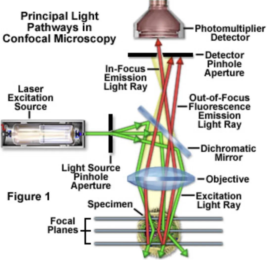 Microscope optique confocal