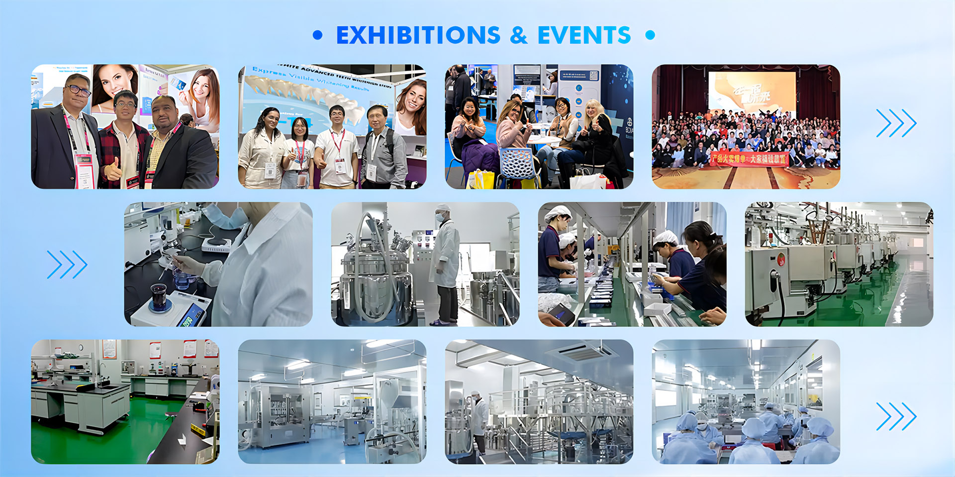 Exhibitions & Eventsela