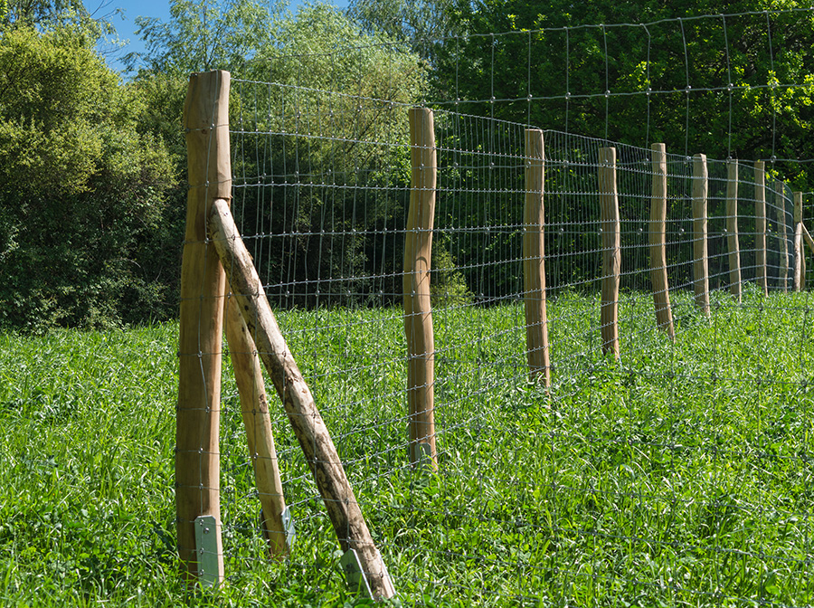 Grassland-Fence-Machine-Għal-Nagħmlu-Deer-Fence-2nnk
