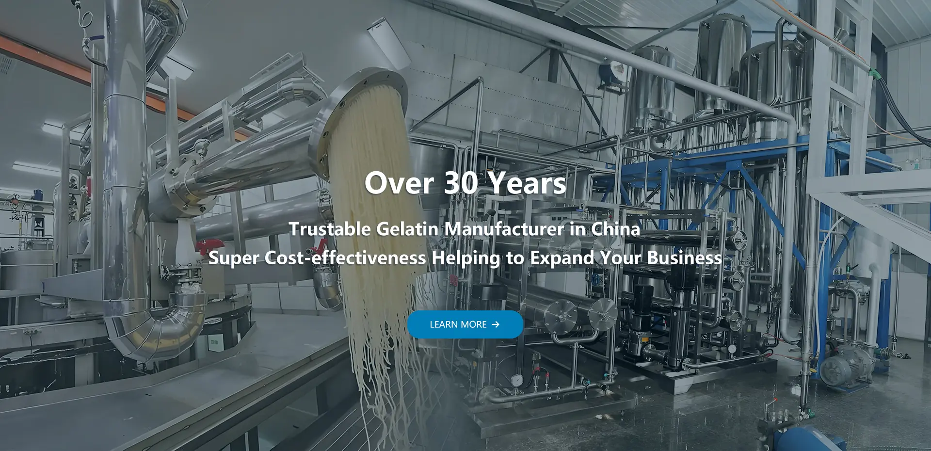 gelatin