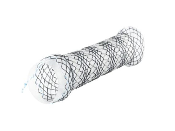 Segmented structure of esophageal stent
