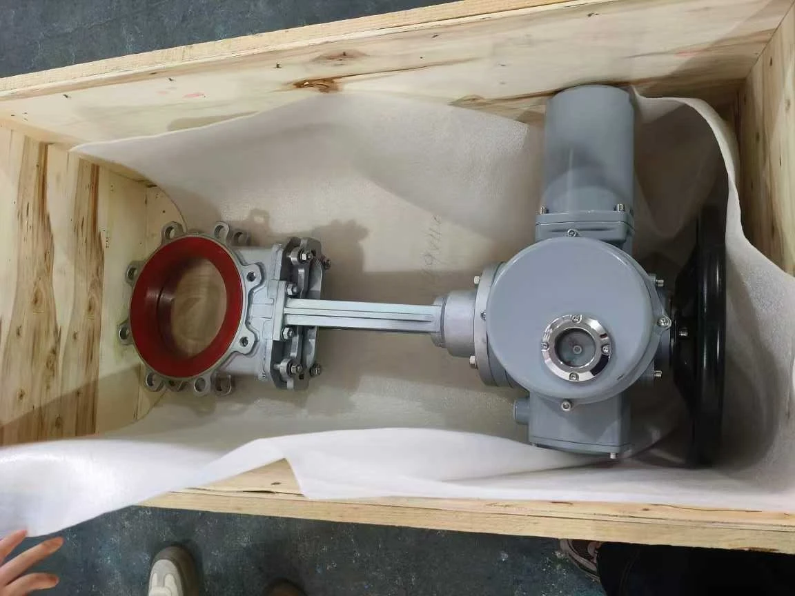 Electric-gate-valve
