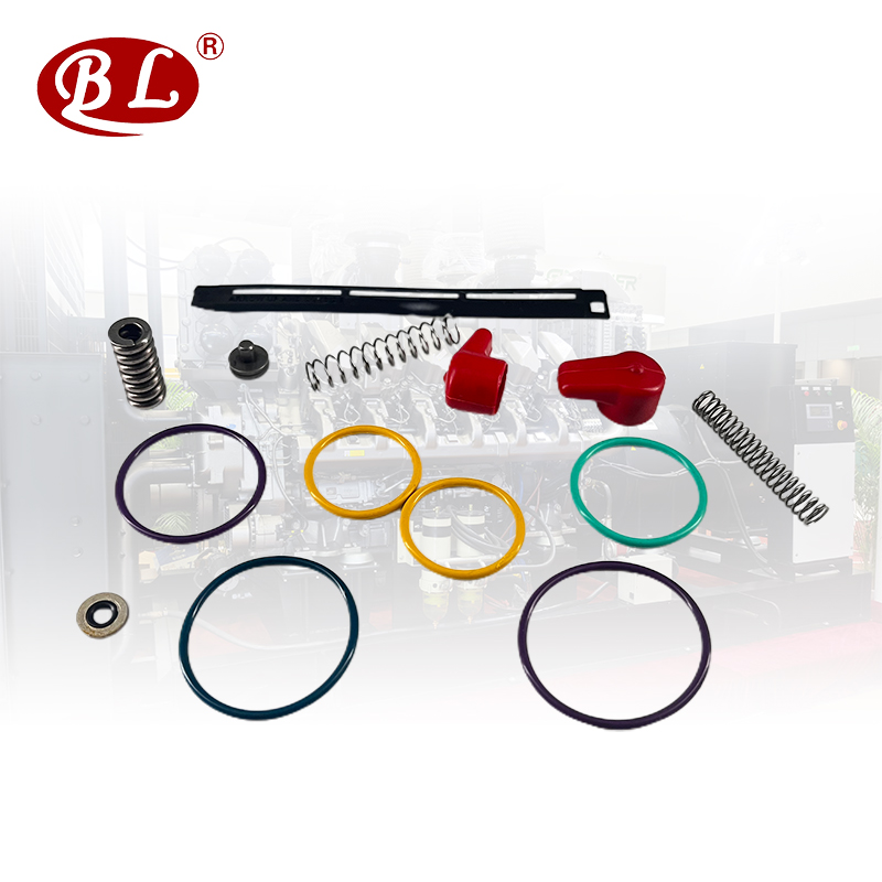 Xikang pump injector fluorine rubber repair kit  3411754