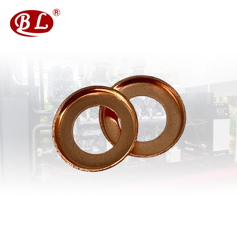 High Quality Ordinary Copper Washer for Sale