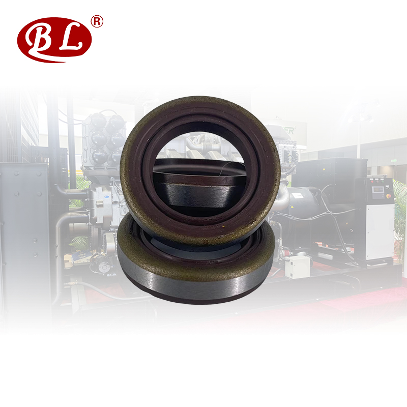 Iron Shell Oil Seal 20-31-7 - High Quality rubber