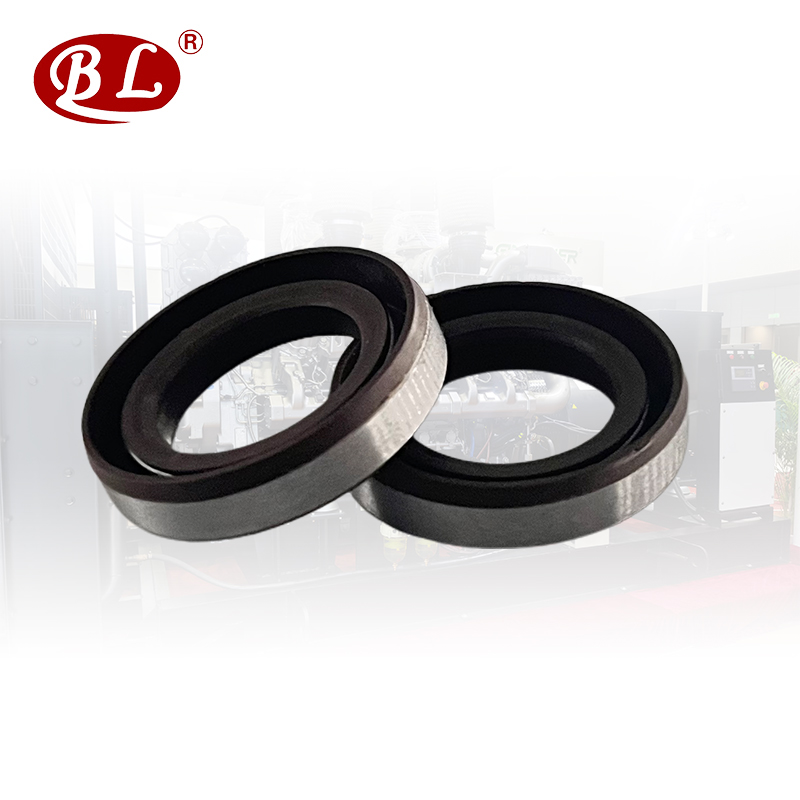 High Quality Oil Seals for Superior Performance