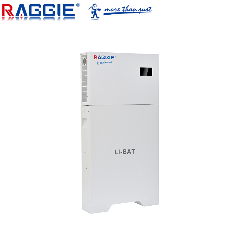 RAGGIE All in One Solar Sytsem 5kwh 10kWh Home Storage Battery Solar System Batteries LiFePO4 3kw solar inverter 5kw Inverter And Lithium Battery