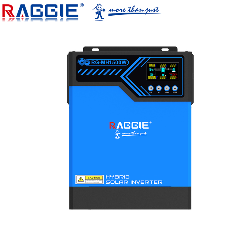 RAGGIE 1.5kw 2.4kw  solar  power inverter solar pure sine wave hybrid inverter with mppt solar  charge controller 12v 24v