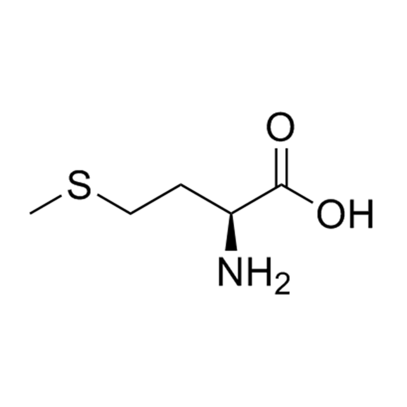 L-Metionin 63-68-3 Suplemen Nutrisi