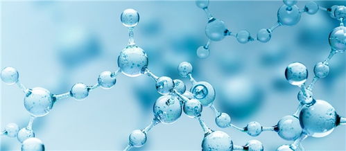 Polar and Nonpolar Amino Acids: Industry Development Begins a New Journey
