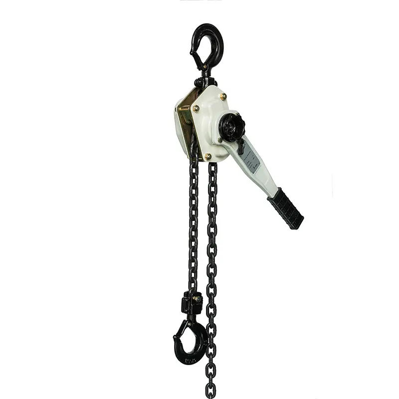 How to repair a broken miniature lever hoist?