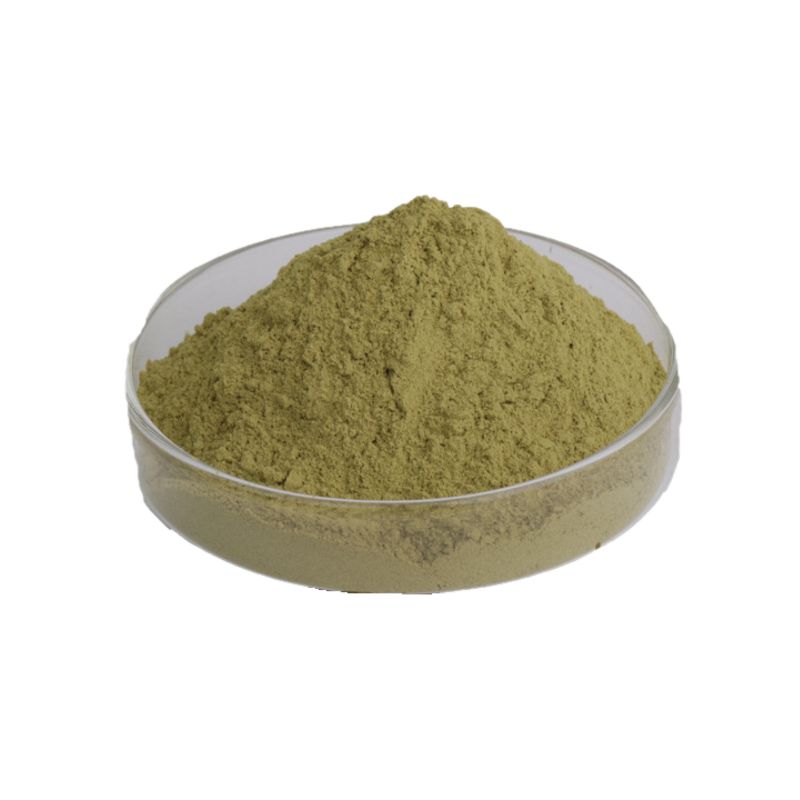 Natural Green Tea Extract Green Tea Polyphenols Factory Supply Powder