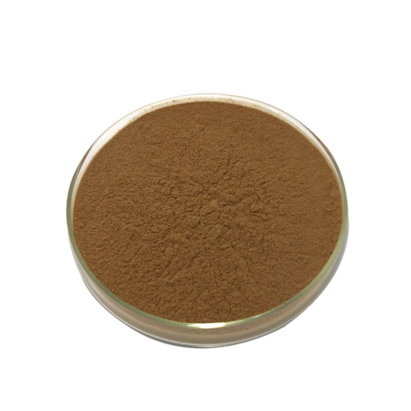 Natural Ginkgo Biloba Extract Total Flavonoids Ginkgolide Factory Supply
