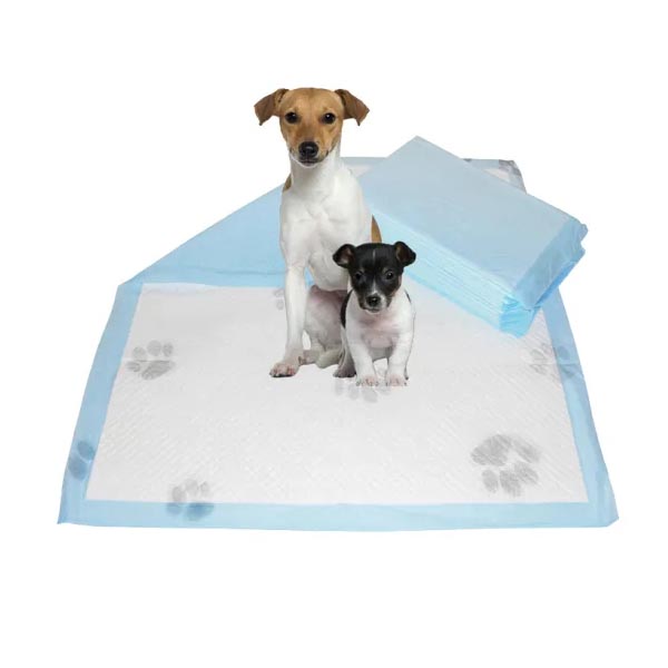 Pad anjing pakai buang berkualiti tinggi Pad haiwan peliharaan pakai buang air kencing super penyerap kain lembut bukan tenunan latihan pad anjing peliharaan untuk haiwan
