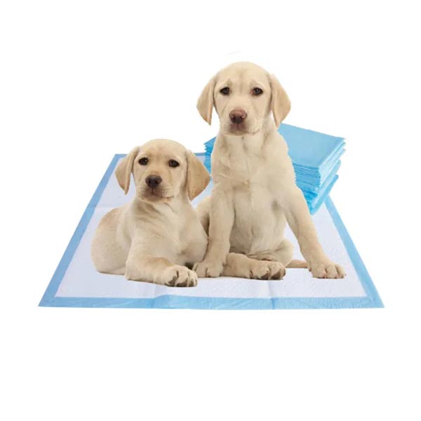 Superabsorberende puppy-trainingspads Pet PEE-pads Wegwerp PEE-pads voor huisdieren