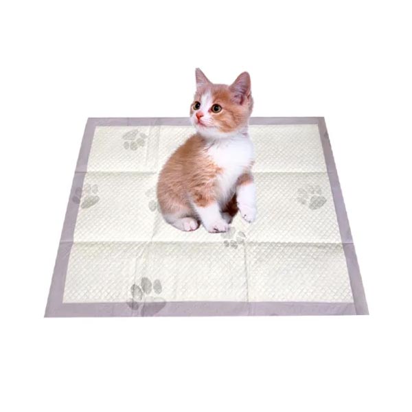 Quick-Dry Super Absorbent Disposable Pet ปัสสาวะ Pad ลูกสุนัข Training Pads Underpads