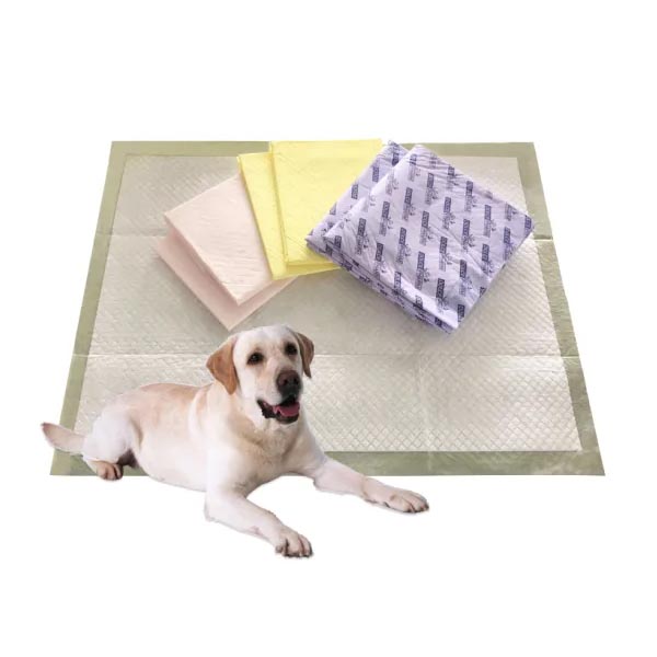 Forniture personalizzate per la pulizia degli animali domestici Cuscinetti per addestramento Pannolini per animali usa e getta Mad Dog PEE Pad