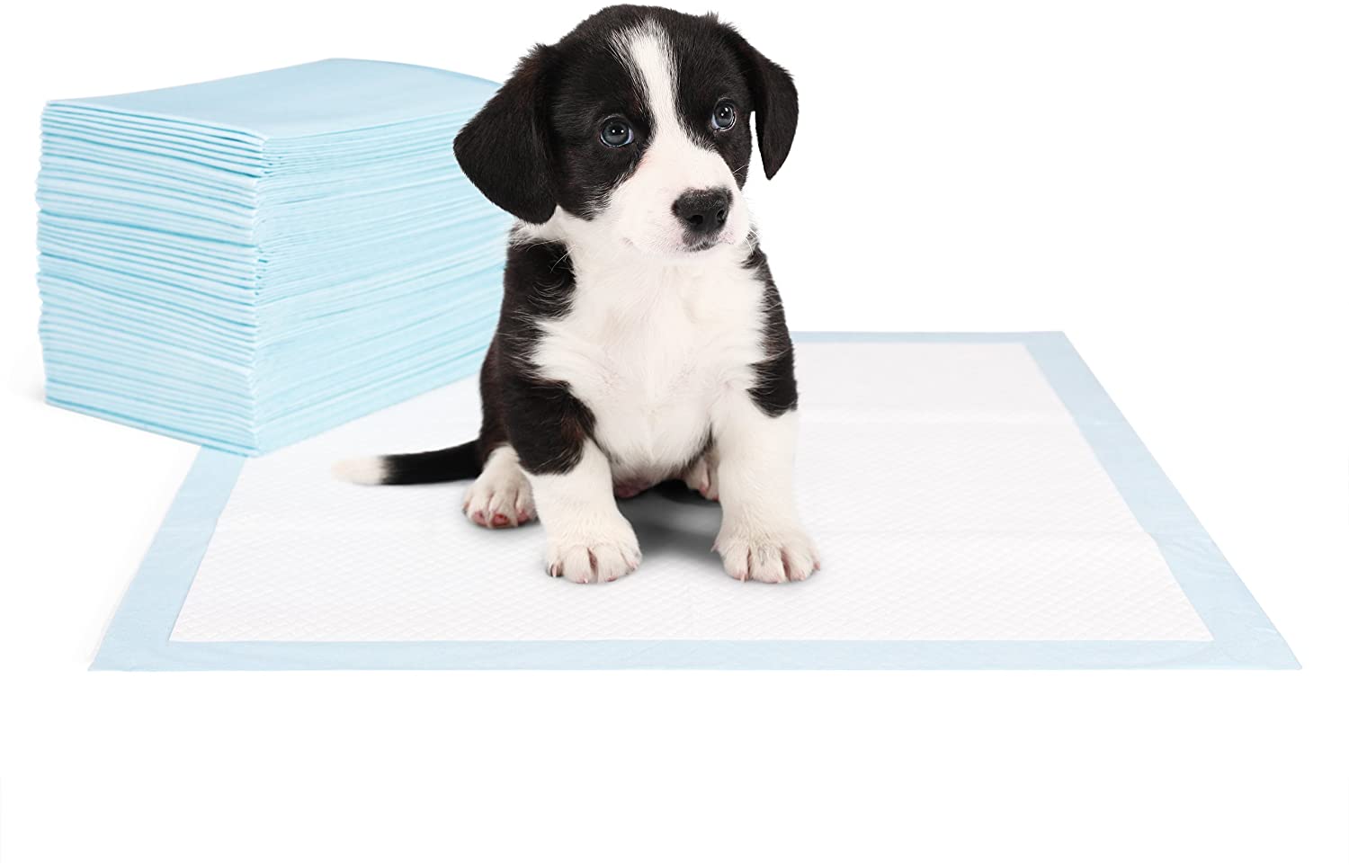 高吸収犬用おしっこパッド 四隅にステッカー付き 使い捨て犬用トイレパッド 吸収性犬子犬トレーニングおしっこパッド
