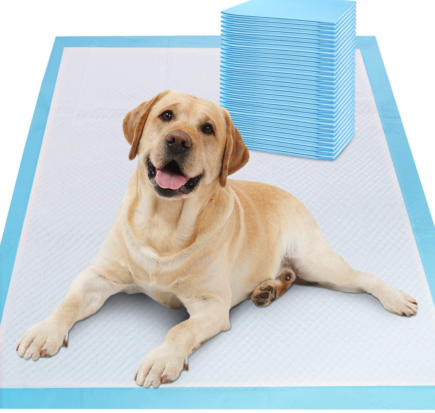Almofada de treinamento para animais de estimação Dispiosable China Fabricante Venda quente 22*23'' Almofada de alta absorção para cães