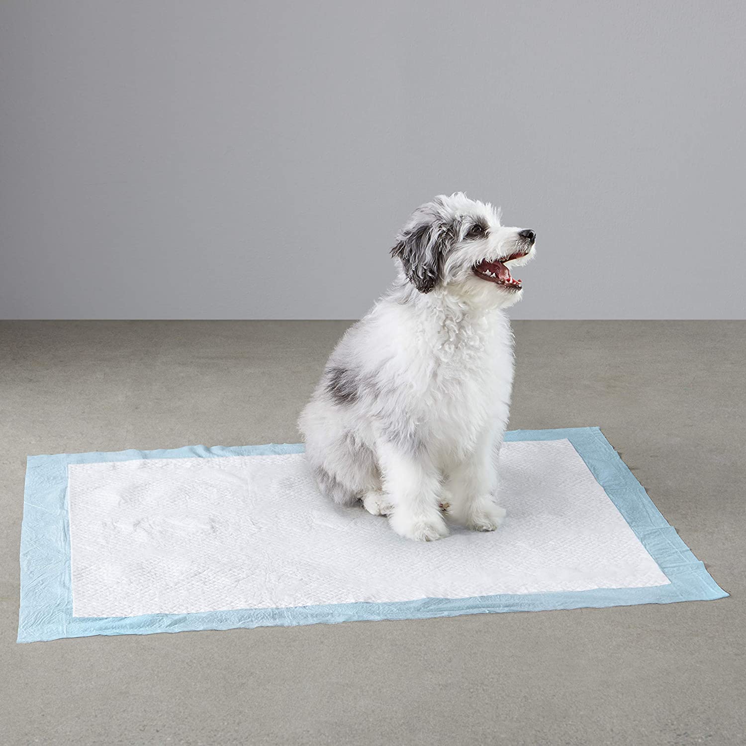 Free Sample Leak Proof product dog Training Pad with Super Absorbency
