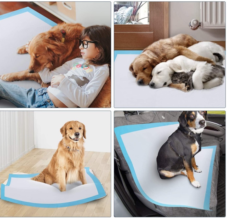 Alcune conoscenze sul tappetino per pipì per animali domestici/cuscinetto per cuccioli