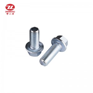 OEM Factory for China Hex Head Bolt with Nut and Washer/T Head Bolt/Flange Bolt/Anchor Bolt/U-Bolt
