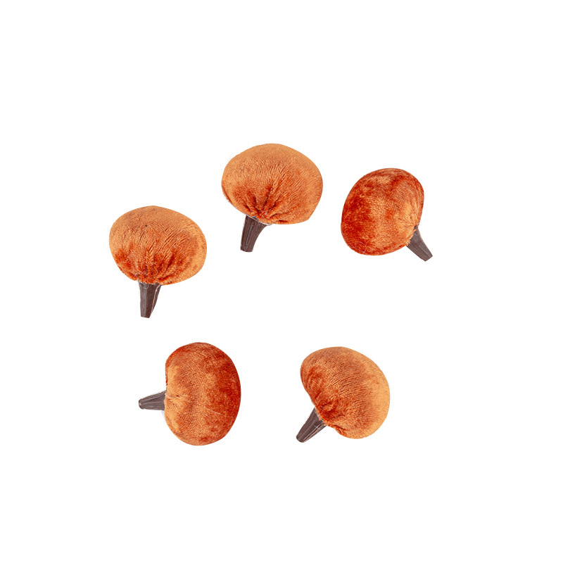 Mini Pumpkins for Hot Harvest Festival - Wholesale