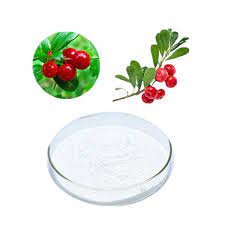 Cheap PriceList for Naturally Extracted From Bearberry Skin Lightening Agent ...