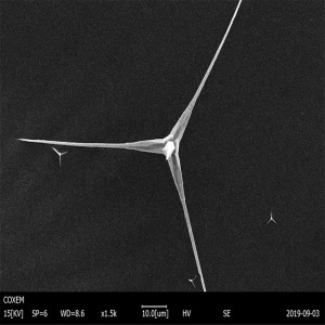 Whisker Tetra-Needle Seperti Zink Oksida