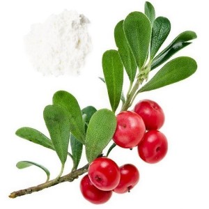 Fabbrika magħmula hot-sale Ċina CAS 84380-01-8 100% Pura Alpha-Arbutin Ogranic Hala Bearberry Kosmetiċi Grad Materjal Ġilda Whitening Trab Alpha Arbutin