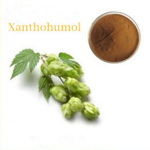 Extracto de lúpulo de xantohumol orgánico promocional de fábrica de China en polvo CAS 6754-58-1