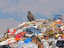 Aussicht auf Kunststoffwasch- und Recyclinganlagen