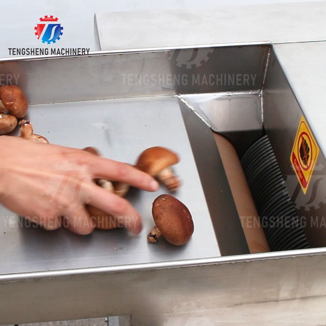Mushroom slicer machine (14)mwy