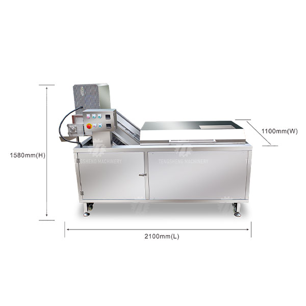 Industrial Bubble Washer Fruit Vegetable Ultrasonic Cleaning Washing Machine (Ts-X200B)