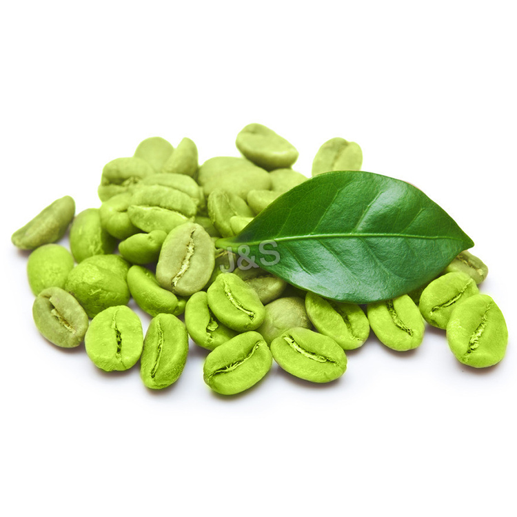Good quality 100%  Green Coffee Bean Extract Factory in Belgium