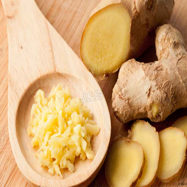 How much do you know about Ginger Root Extract?