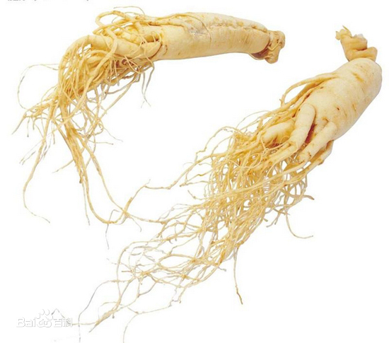 How much you know about American Ginseng?
