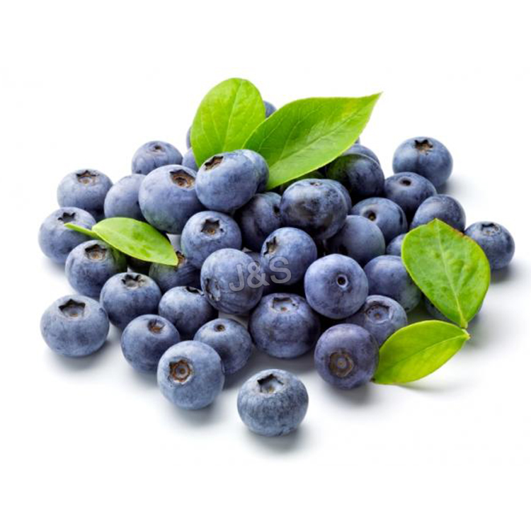 Renewable Design for
 Blueberry extract Supply to Angola
