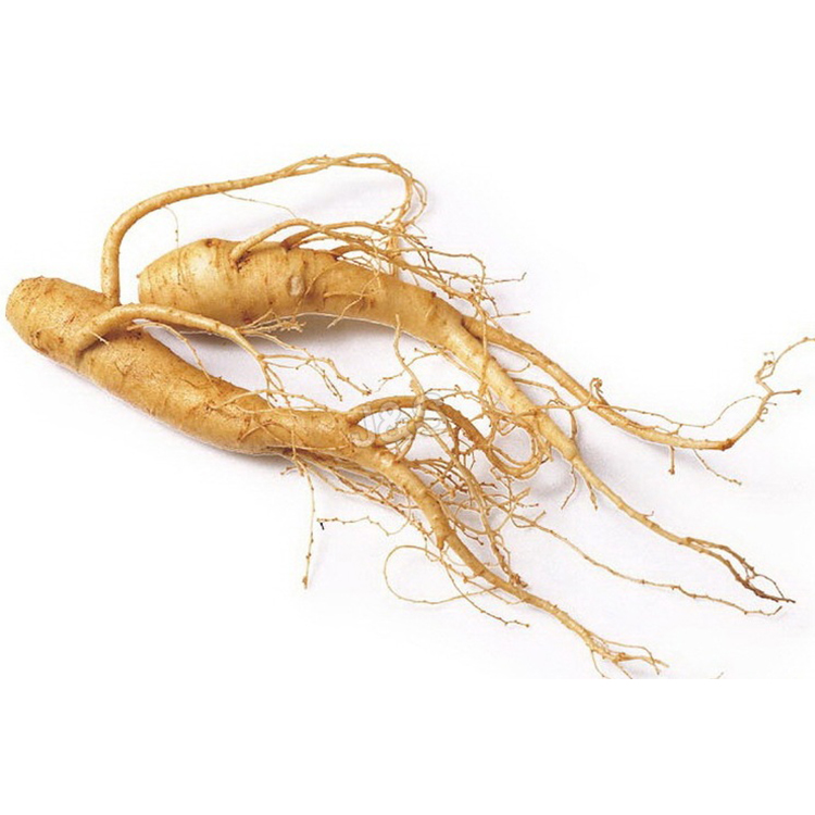 11 Years Manufacturer
 Ginseng extract Factory in Mali
