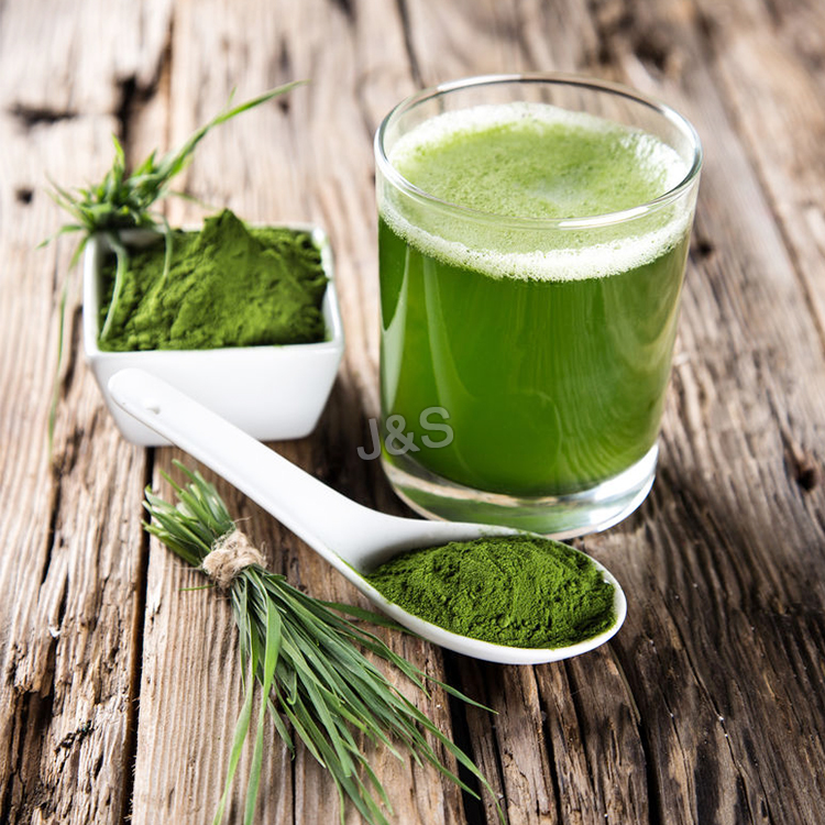 18 years Factory offer
 Barley Grass Powder Factory from Berlin

